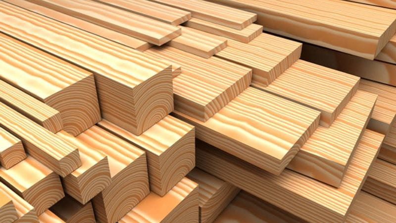 Thông là loại gỗ phổ biến nhất được sử dụng để sản xuất các sản phẩm ván ép